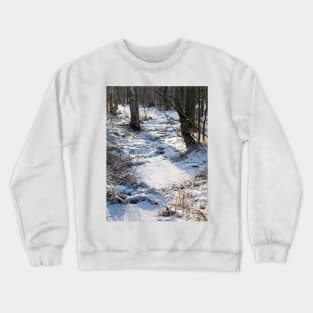 Winter Crewneck Sweatshirt